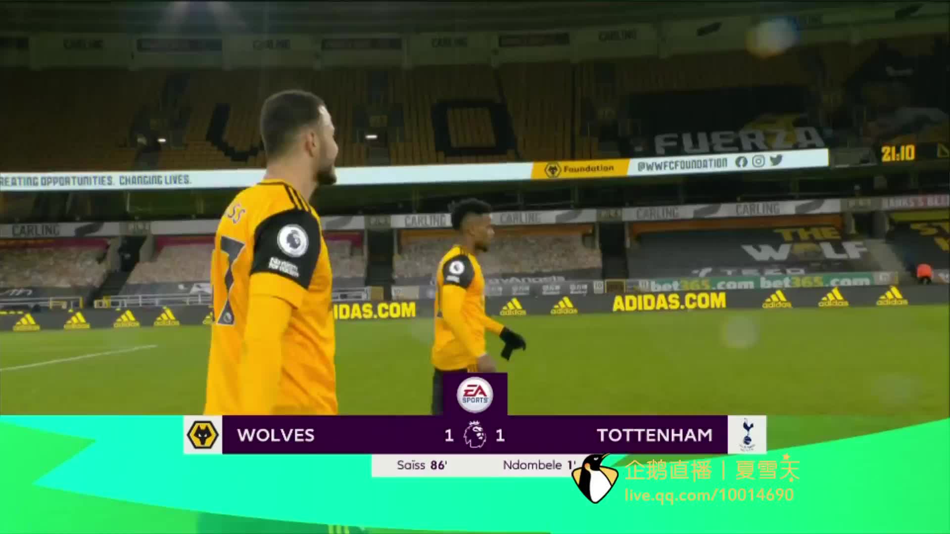 国球迷的共 国球迷的共